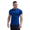 Summer New Fitness Clothes Coach Sports T-shirt Muscle Tights Men High Elastic Training Clothes Short Sleeve Fitness Clothes Men