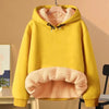 Autumn and Winter New Hooded Lamb Fleece Hoodie Solid Color with Thick Fleece for Men and Women, Warm and Casual Versatile