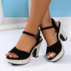 Sandals Women Summer 2025 Platform High-heeled Elegant Comfortable and Elegant Fashion Black Offer