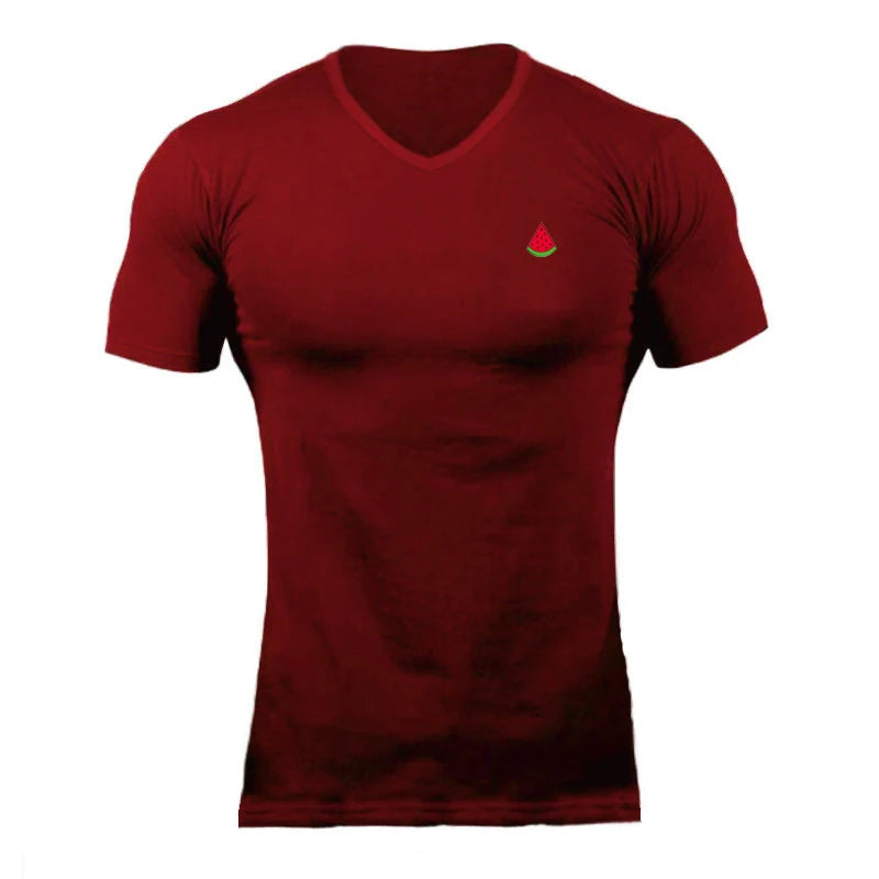 Sumemr Moisture Wicking Short Sleeve Cotton T-Shirt Men's V-Neck Slim Fit Shirt Fitness Bodybuilding Workout Tees Gym Clothing