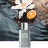 High Quality brand Lasting Fragrance Body Spray Perfume Floral Scent Pheromone Eau De Parfum Men Cologne 100ml Parfumer