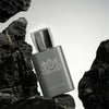 High Quality brand Lasting Fragrance Body Spray Perfume Floral Scent Pheromone Eau De Parfum Men Cologne 100ml Parfumer